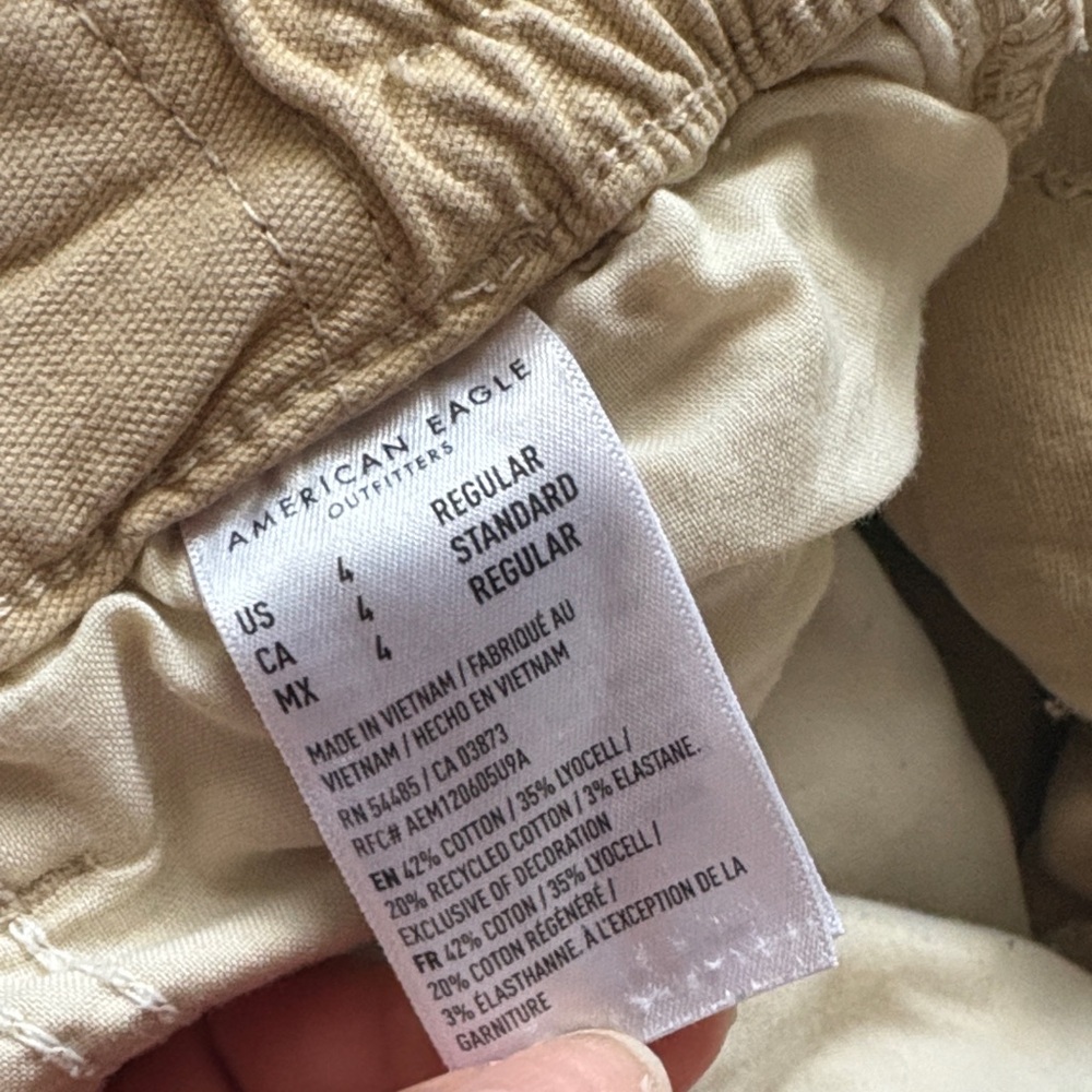 American Eagle Outfitters cargo Pants - Tan and Green - Picture 9 of 10
